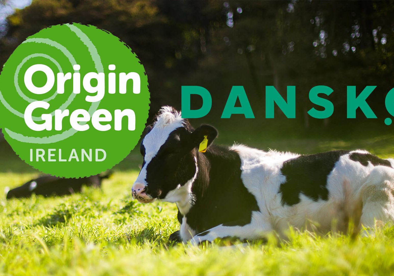 Dansko Foods Zusammenarbeit mit Origin Green für eine nachhaltige Zukunft